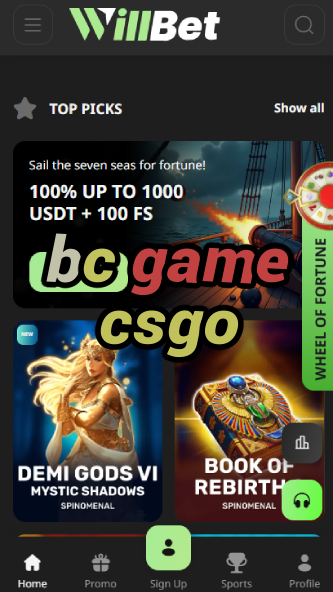 BC Game CSGO - Skin Gambling-vz72fvrf.com